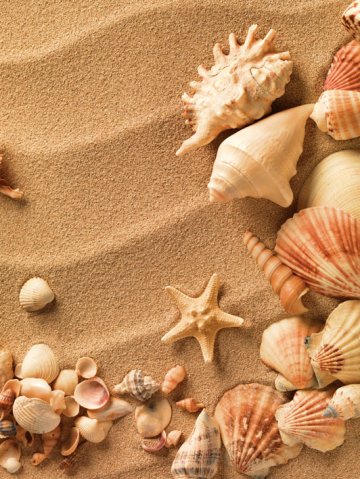 6.1.222