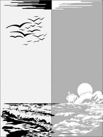 466