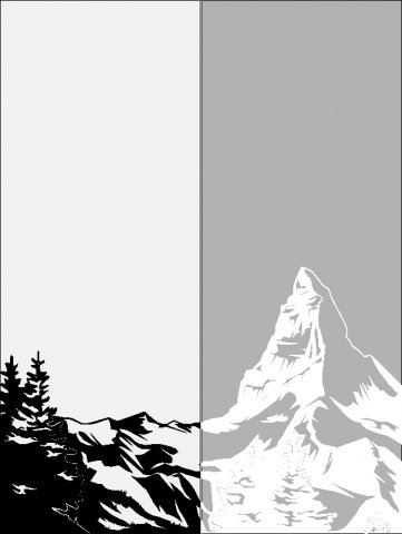481