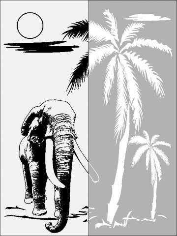 81