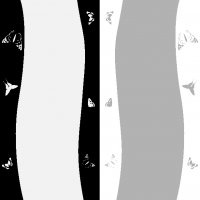 250