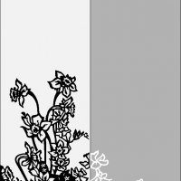 260