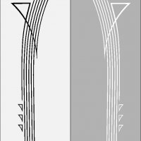 41