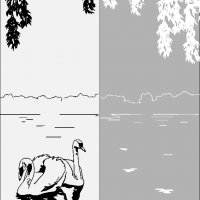 546