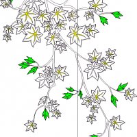 591