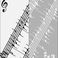 80