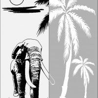 81